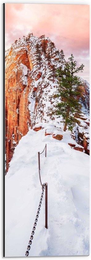 Dibond - Bergen - Boom - Sneeuw - Hekje - Kleuren - 20x60 cm Foto op Aluminium (Wanddecoratie van metaal)