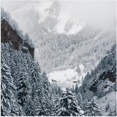 Poster Glanzend – Bergen - Bomen - Sneeuw - Bossen - 80x80 cm Foto op Posterpapier met Glanzende Afwerking
