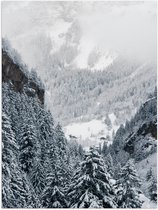 Poster Glanzend – Bergen - Bomen - Sneeuw - Bossen - 75x100 cm Foto op Posterpapier met Glanzende Afwerking