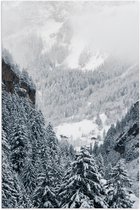 Poster Glanzend – Bergen - Bomen - Sneeuw - Bossen - 40x60 cm Foto op Posterpapier met Glanzende Afwerking