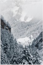 Poster Glanzend – Bergen - Bomen - Sneeuw - Bossen - 60x90 cm Foto op Posterpapier met Glanzende Afwerking