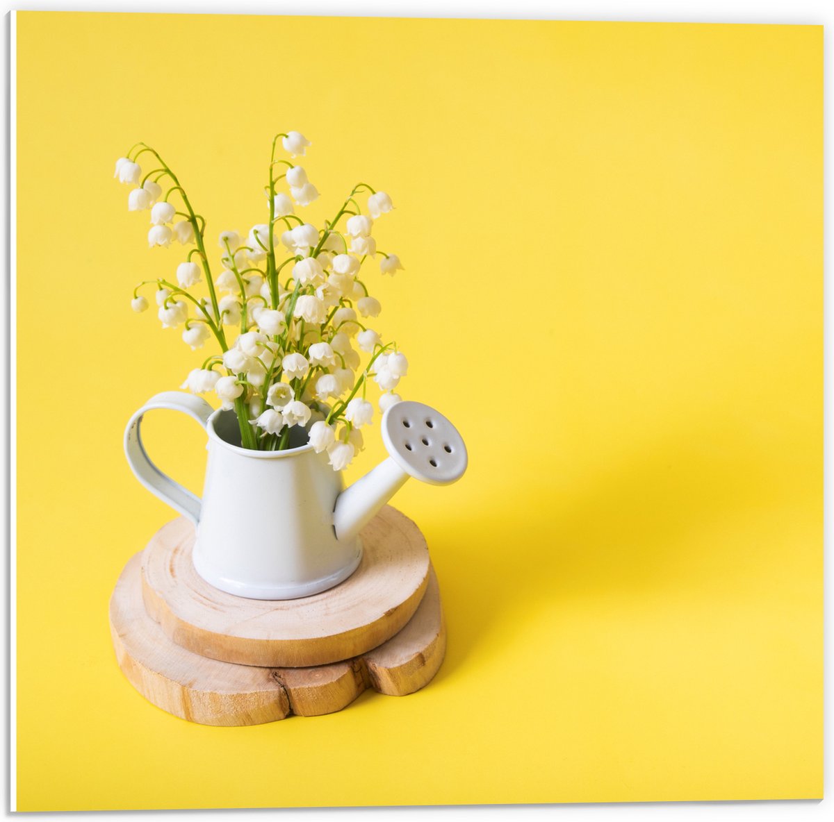 PVC Schuimplaat - Boeket in Gieter met Gele Achtergrond - 50x50 cm Foto op PVC Schuimplaat