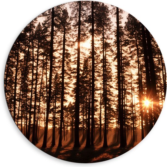 Dibond Muurcirkel - Felle Zonnestralen van Zonsondergang door Silhouetten van Smalle Bomen - 80x80 cm Foto op Aluminium Muurcirkel (met ophangsysteem)