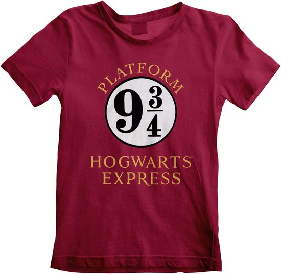 Harry Potter kindershirt - Hogwarts Express maat 5-6 jaar (116)