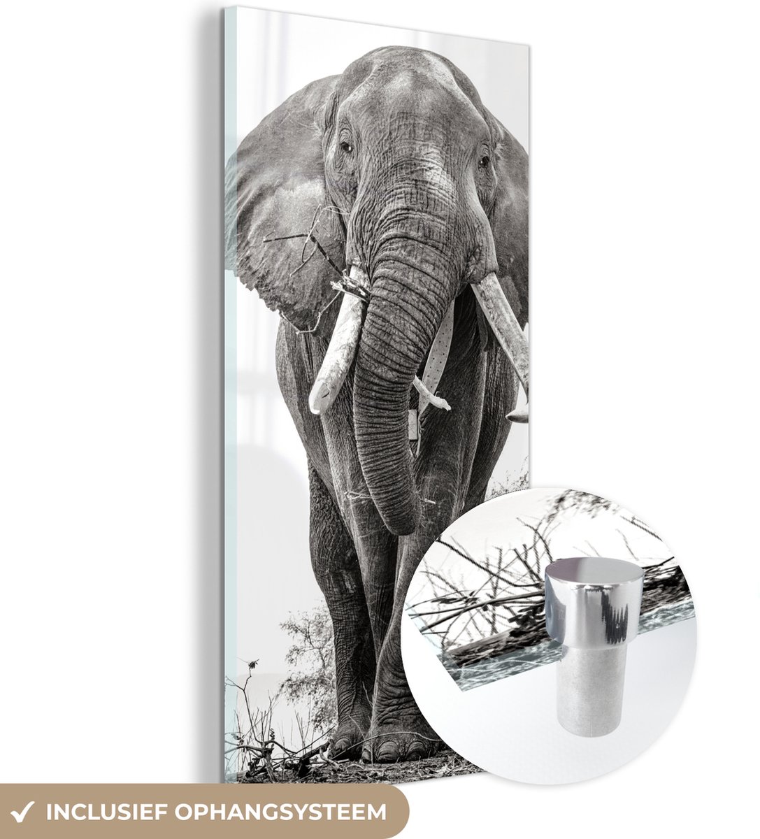 MuchoWow - Impression sur verre Éléphant - Noir - Blanc - Animaux