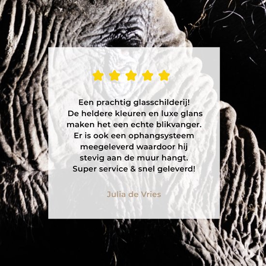 MuchoWow® Peinture sur verre 40x60 cm - Peinture sur verre acrylique - Éléphant - Zwart - Animaux - Nature - Photo sur verre - Peintures
