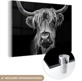 Glasschilderij Schotse hooglander - Koe - Zwart wit - Hoorns - Portret - Slaapkamer decoratie - Wanddecoratie glas - 120x80 cm - Foto op glas - Woonkamer - Glasplaat