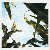 Muursticker - Lucht - Wolken - Plant - Bladeren - Kleuren - 100x100 cm Foto op Muursticker