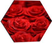Dibond Hexagon - Bloemen - Rozen - Rood - 30x26.1 cm Foto op Hexagon (Met Ophangsysteem)