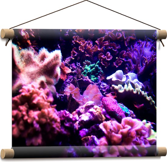 Textielposter - Koraal - Onderwaterleven - Dier - Zee - Oceaan - Kleuren - 40x30 cm Foto op Textiel