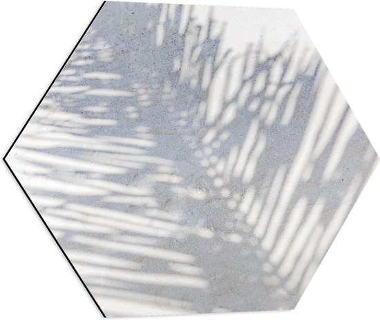Dibond Hexagon - Schaduw van Varen Plant op Wit Oppervlak - 60x52.2 cm Foto op Hexagon (Met Ophangsysteem)