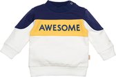 Sweater Awesome - Navy - BESS - maat 50