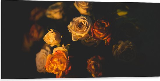 Dibond - Bloemen - Rozen - Donker - 100x50 cm Foto op Aluminium (Wanddecoratie van metaal)