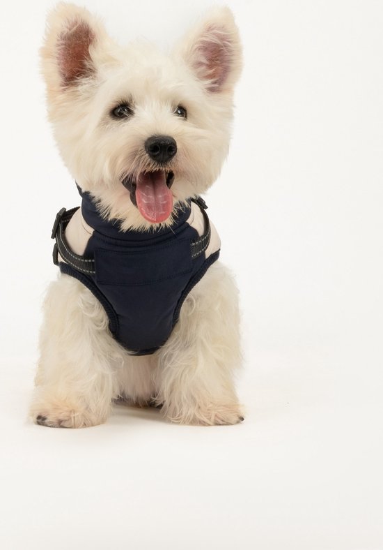 West Highland White Terrier zit en draagt een navyblauw met beige hondenharnas, kwispelt met zijn tong.