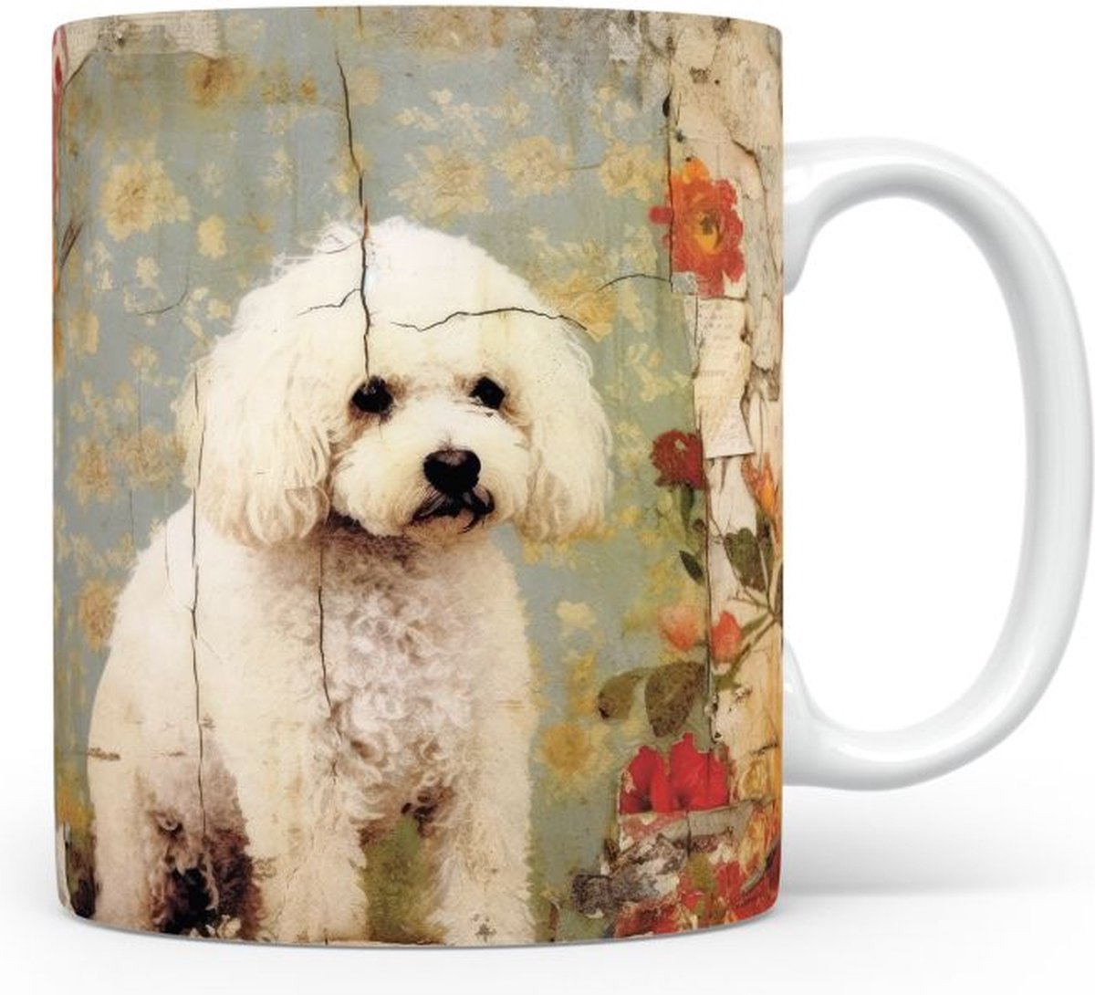 Mok met Bichon Frise