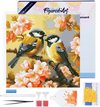 Figured' Art Mini Peinture de diamants set Adultes 25x25 cm avec cadre Couple d' Vogels parmi les fleurs - 5D DIY Art diamant rond - Toile déjà encadrée