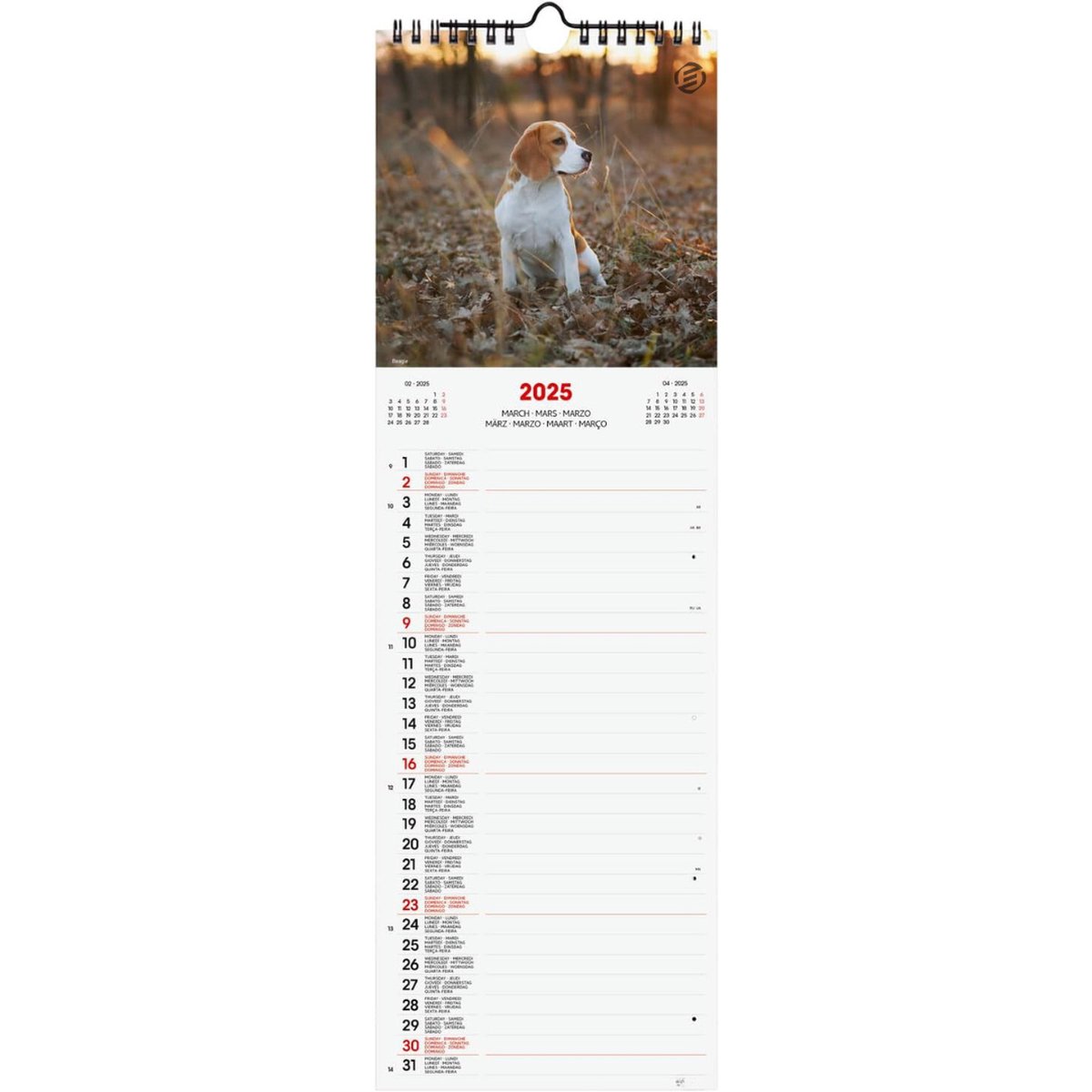 Equivera Jaarkalender 2025 - Maandkalender - Jaar Kalender - Jaarkalender - Jaarplanner - Kalender 2025
