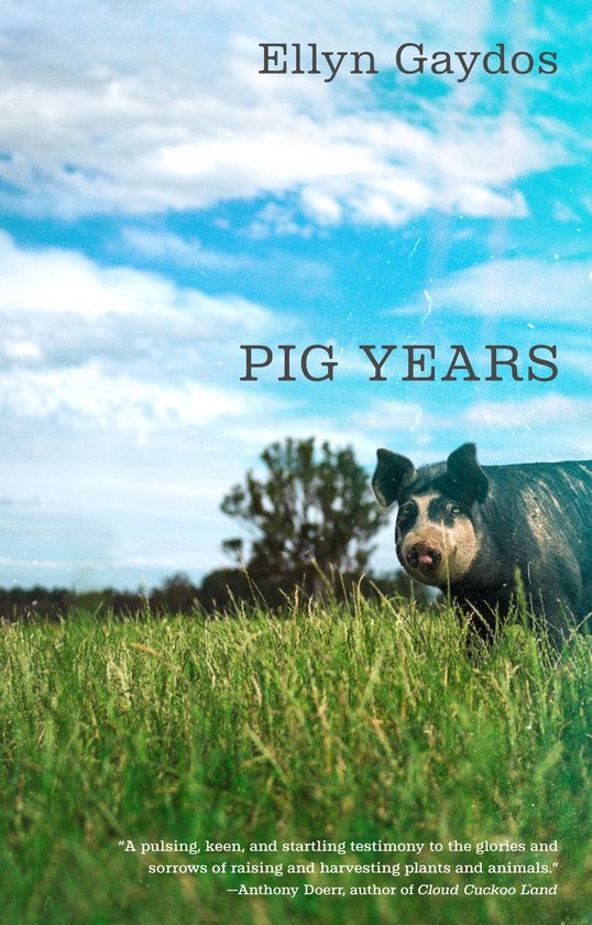 Pig Years - cover
