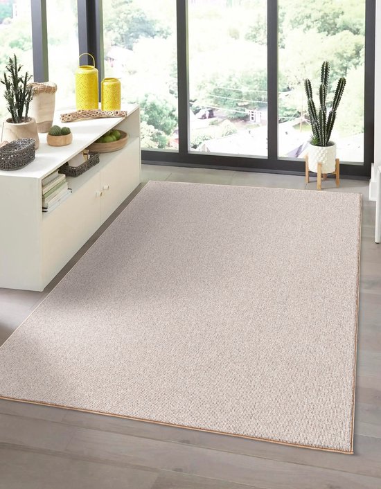 Un tapis beige à la texture fine dans un salon moderne aux grandes fenêtres.