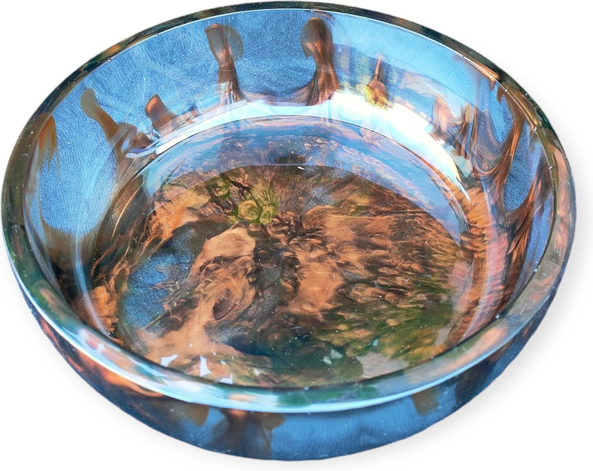 Resin Art JR: Handgemaakte Epoxy schaal Mix Functionaliteit en Design