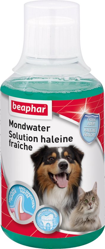 Beaphar Mondwater - 250 ml