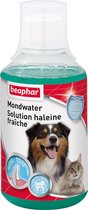 Beaphar Mondwater - 250 ml