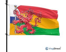 VlagDirect - Vasteloaves Vlag - Limburgse Carnaval Vlag - 90 x 150 cm.