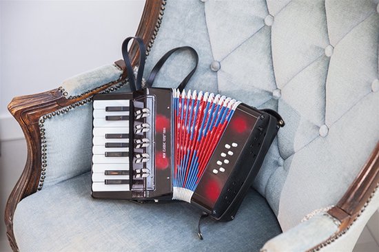 Accordéon Jouet Avec Livre De Musique - Blanc - Pour Enfants à Partir De 3 Ans - New Classic Toys
