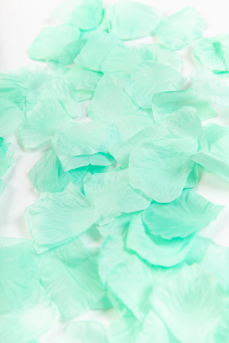 500 Rozenblaadjes Mint Groen - Bruiloft Huwelijk Decoratie Rozen blaadjes