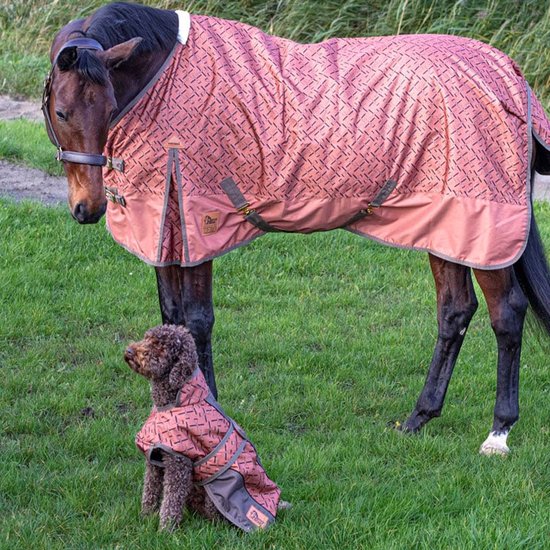 Bruine paard met een roze deken met hoefijzerpatroon. Een kleine hond draagt een bijpassend roze jasje ernaast.
