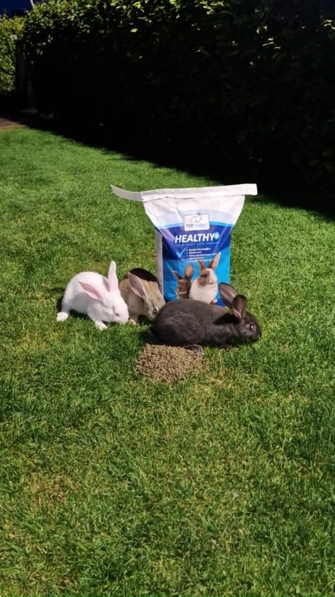 Top Rabbit - Healthy+ - konijnen - konijnenvoer - premium - 5 kg