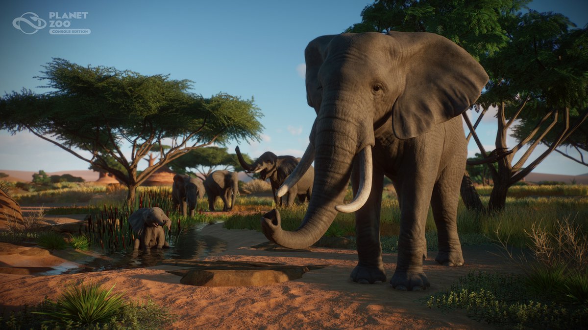 Plaion Planet Zoo - Console Edition thumbnail 3