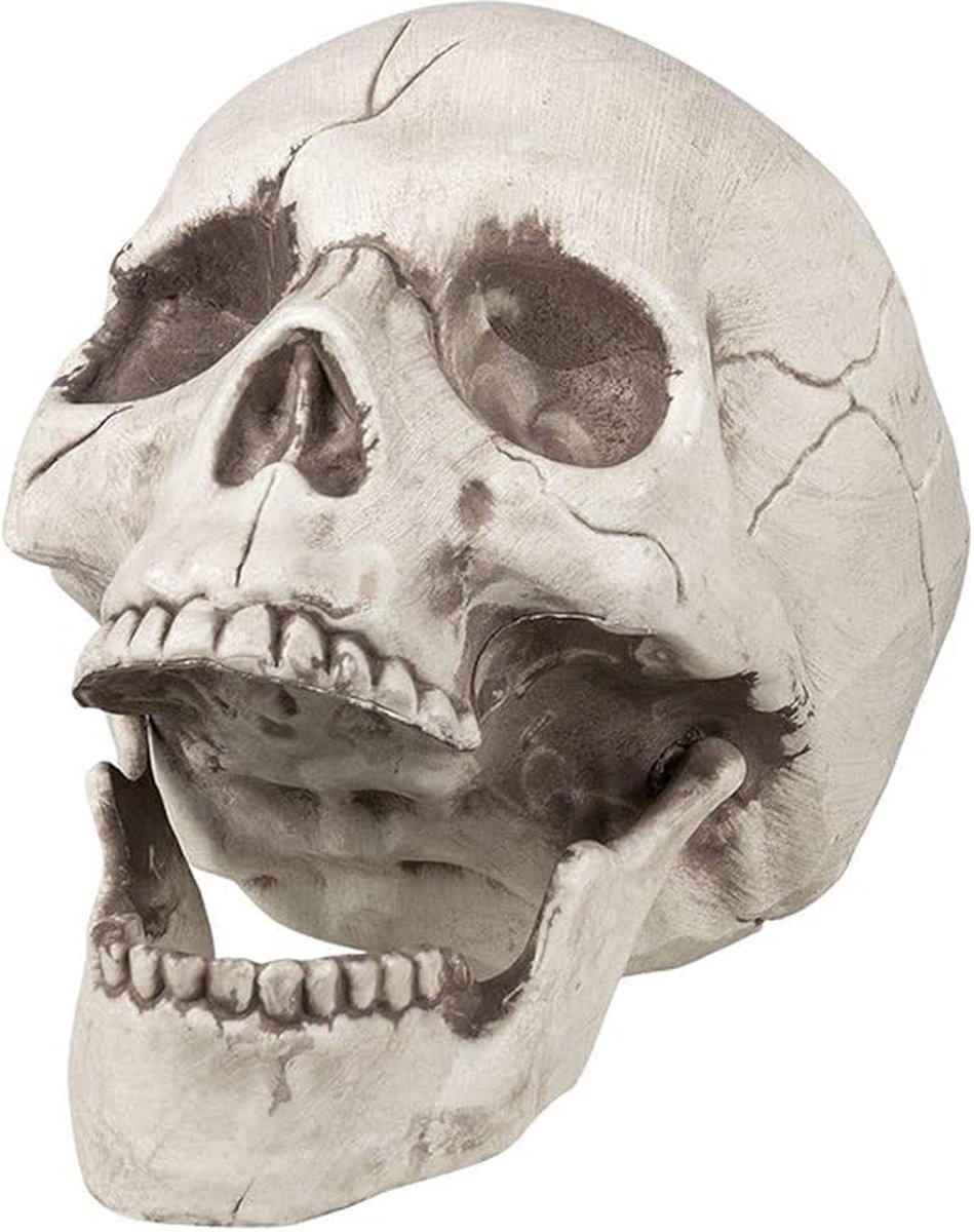 Equivera Halloween Decoratie - Halloween Versiering - Horror Versiering - voor Binnen en Buiten - Spin, Heks, Skelet, Pompoen en Spoken - 2024