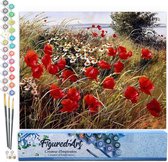 Figured'Art Schilderen op Nummer Volwassenen canvas Wilde bloemen op het platteland - Handwerk acrylverf Kit DIY Compleet - 40x50cm zonder frame