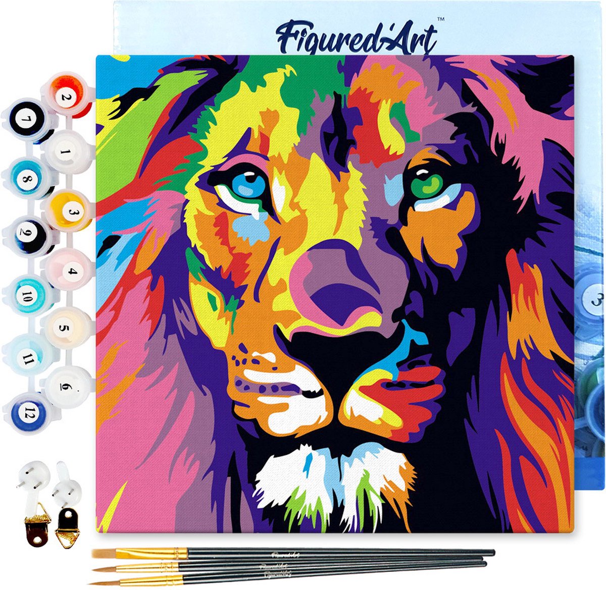 Figured'Art Mini Schilderen op Nummer Volwassenen 20x20cm met lijst Leeuw Pop Art - Klein Formaat Creatieve Hobby Kit DIY Art Nummer Compleet