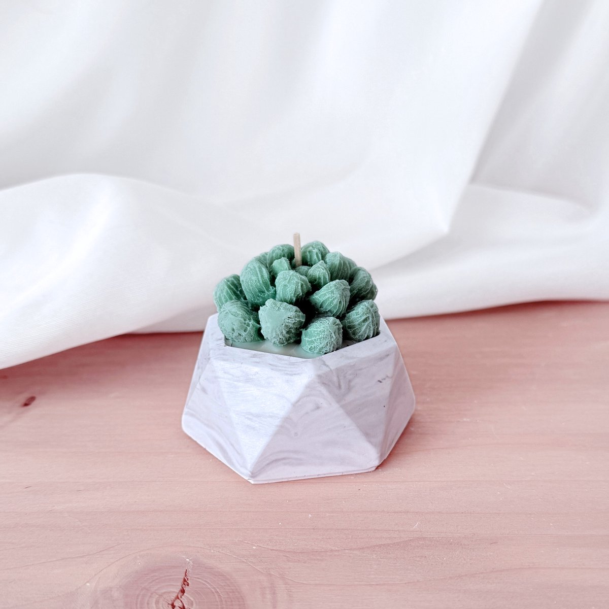 Geurkaars Vetplant in Pot- Mini Succulent kaars- Kaars als Plant- Frisse geur kaars-Sinterklaas cadeau