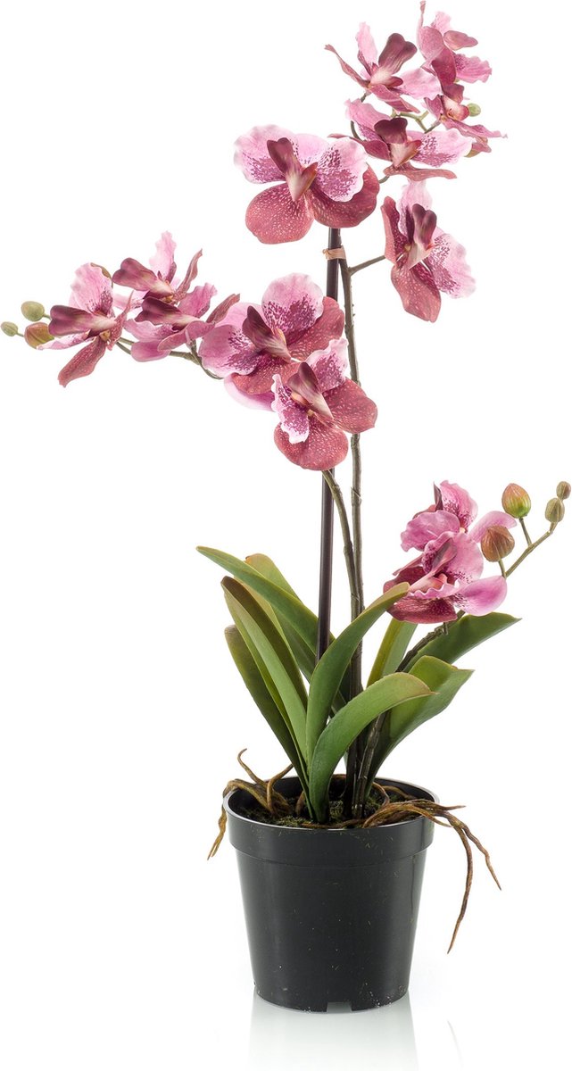 Emerald - Kunstplant Vanda in pot oudroze 60cm - Kunstplant voor binnen