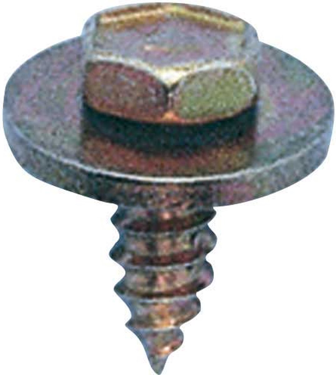 Zeskantplaatbout 4.8x13mm