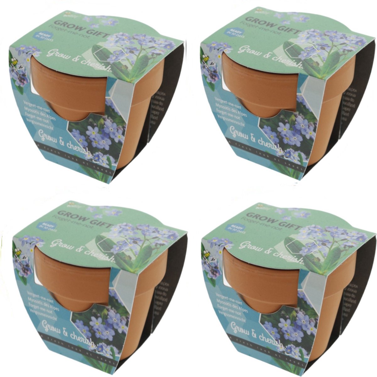 Vergeet me Nietje - Grow Gift - 4 Minipotjes voor kweken van Vergeet me Nietjes