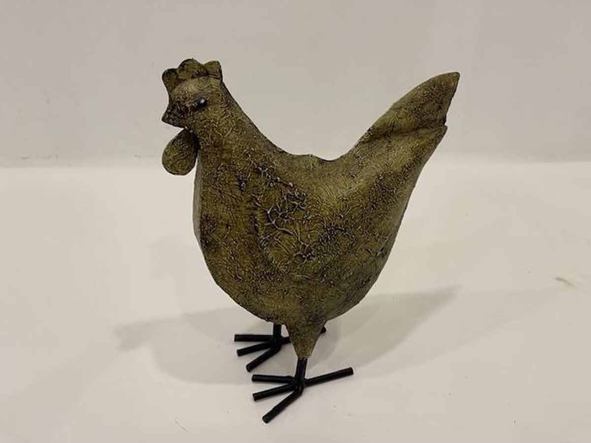 Chicken curry S