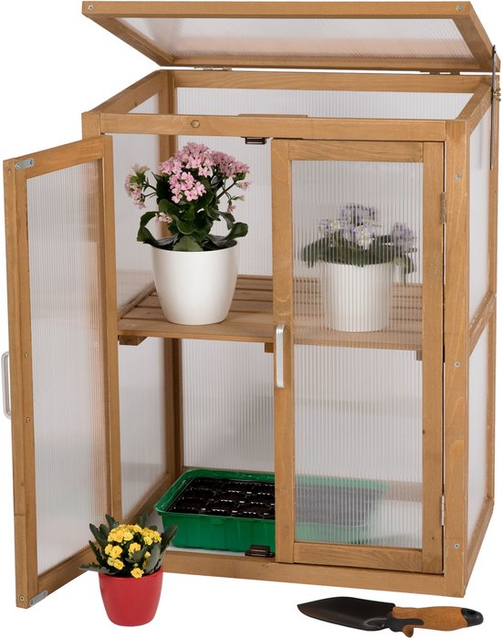 need&wants® Minikas kas klein wintervast van hout voor balkontuin binnen, koud frame verhoogd bed plantenkast kweekhuis, 56x43x76 cm, polycarbonaat