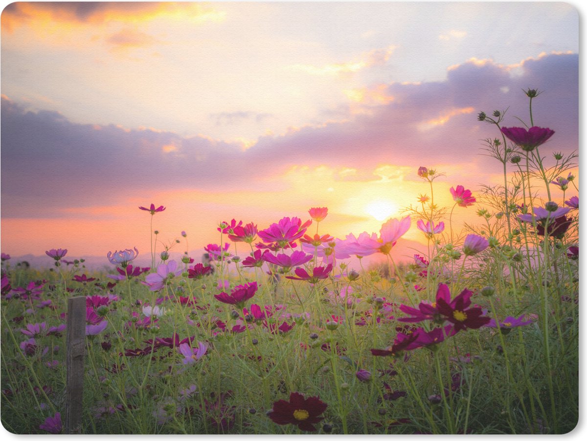 Muismat 23x19 cm - Mousepad Zonsondergang - Bloemen - Roze - Natuur - Groen - Muismatten