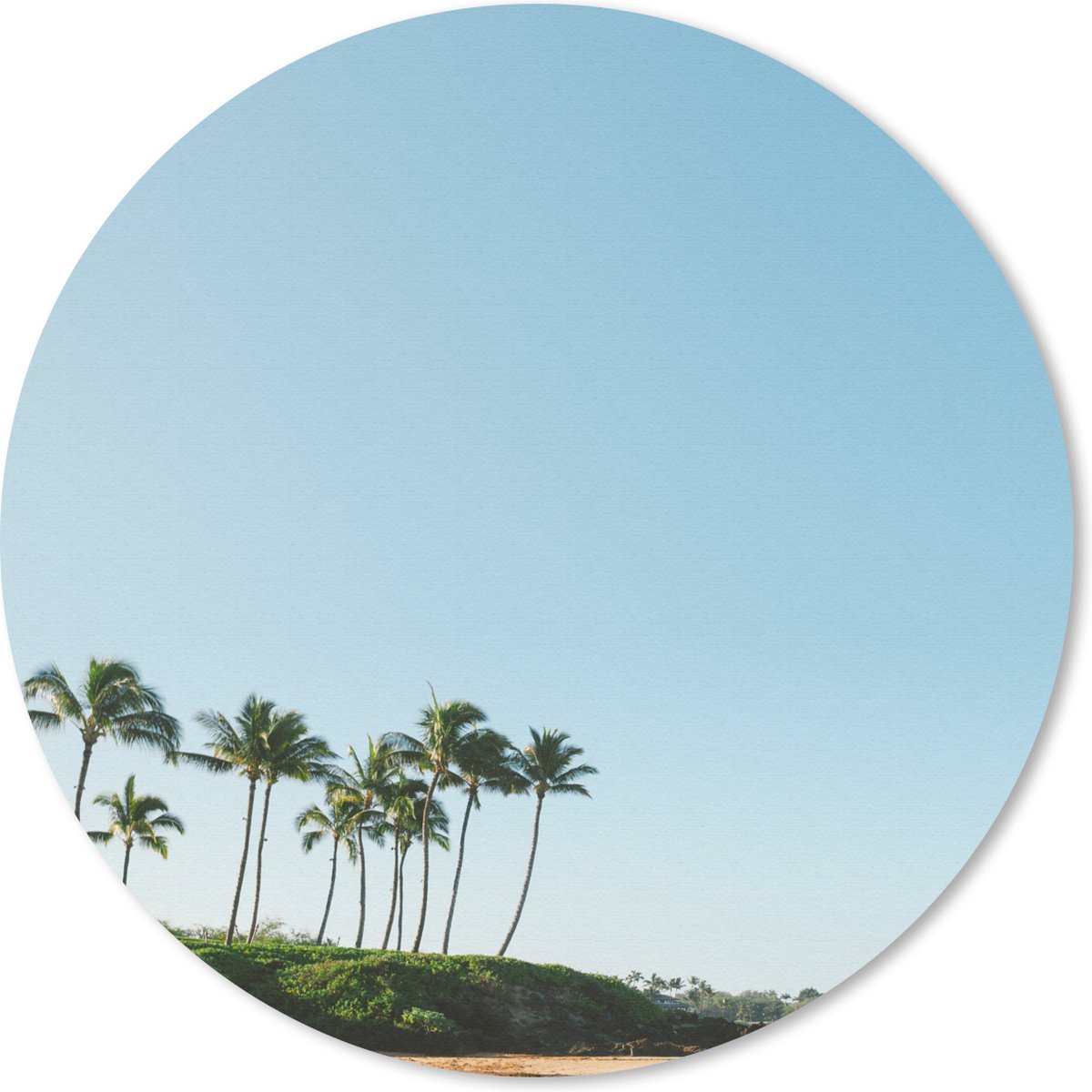 Muismat rond 20x20 cm - Mousepad Strand - Palmbomen - Hawaii - Ronde muismatten