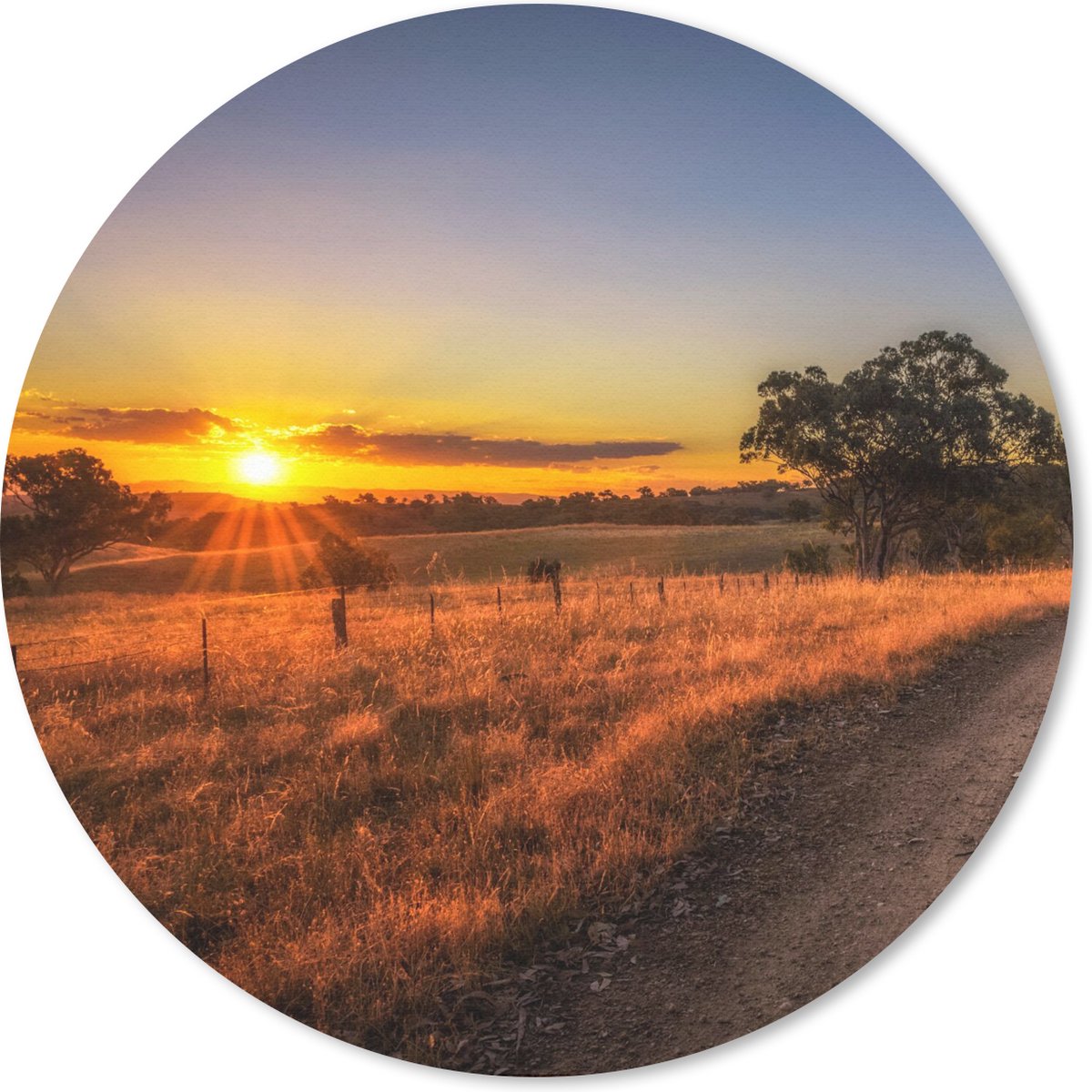 Muismat rond 30x30 cm - Mousepad Zon - Gras - Boom - Natuur - Ronde muismatten