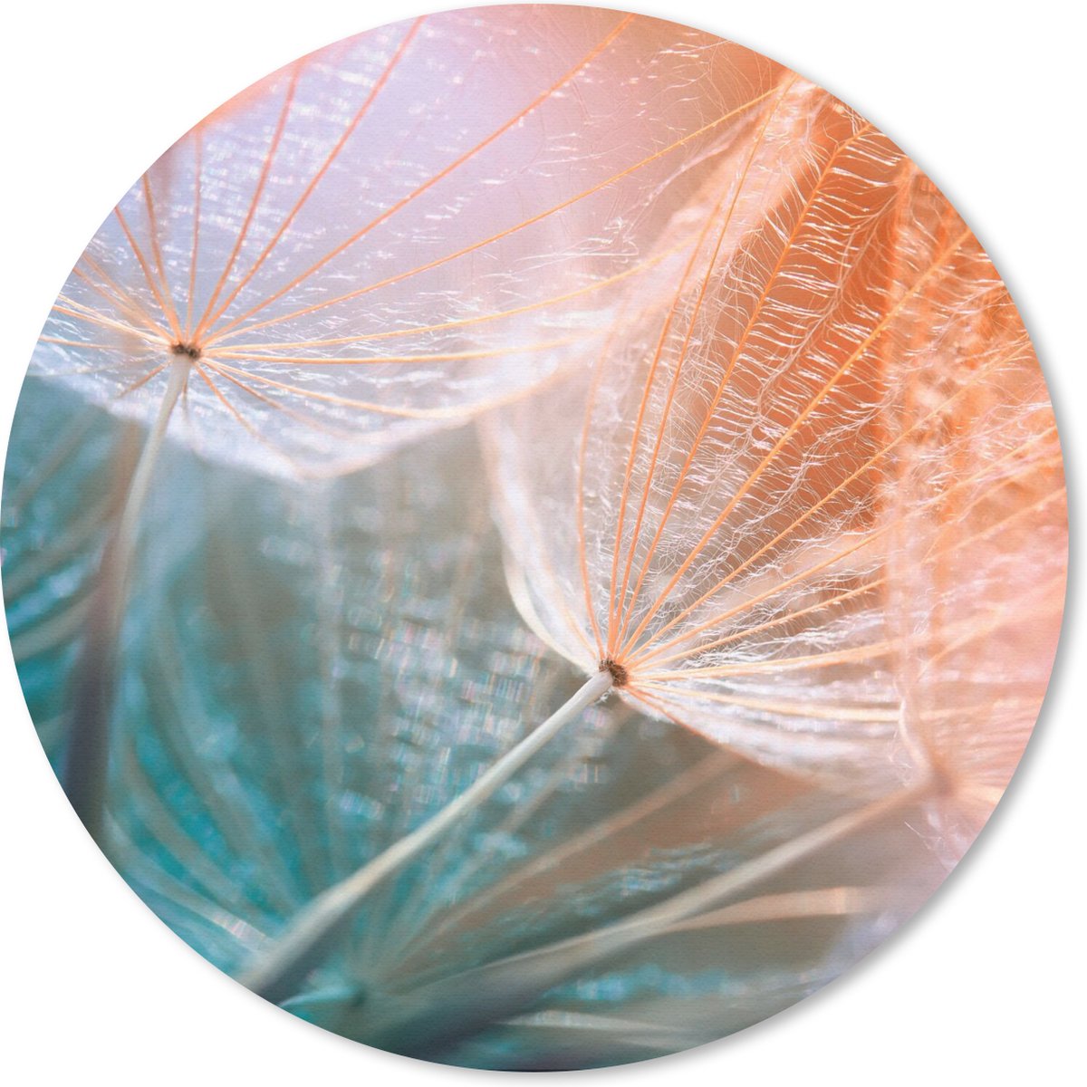Muismat rond 20x20 cm - Mousepad Bloem - Paardenbloem - Plant - Ronde muismatten