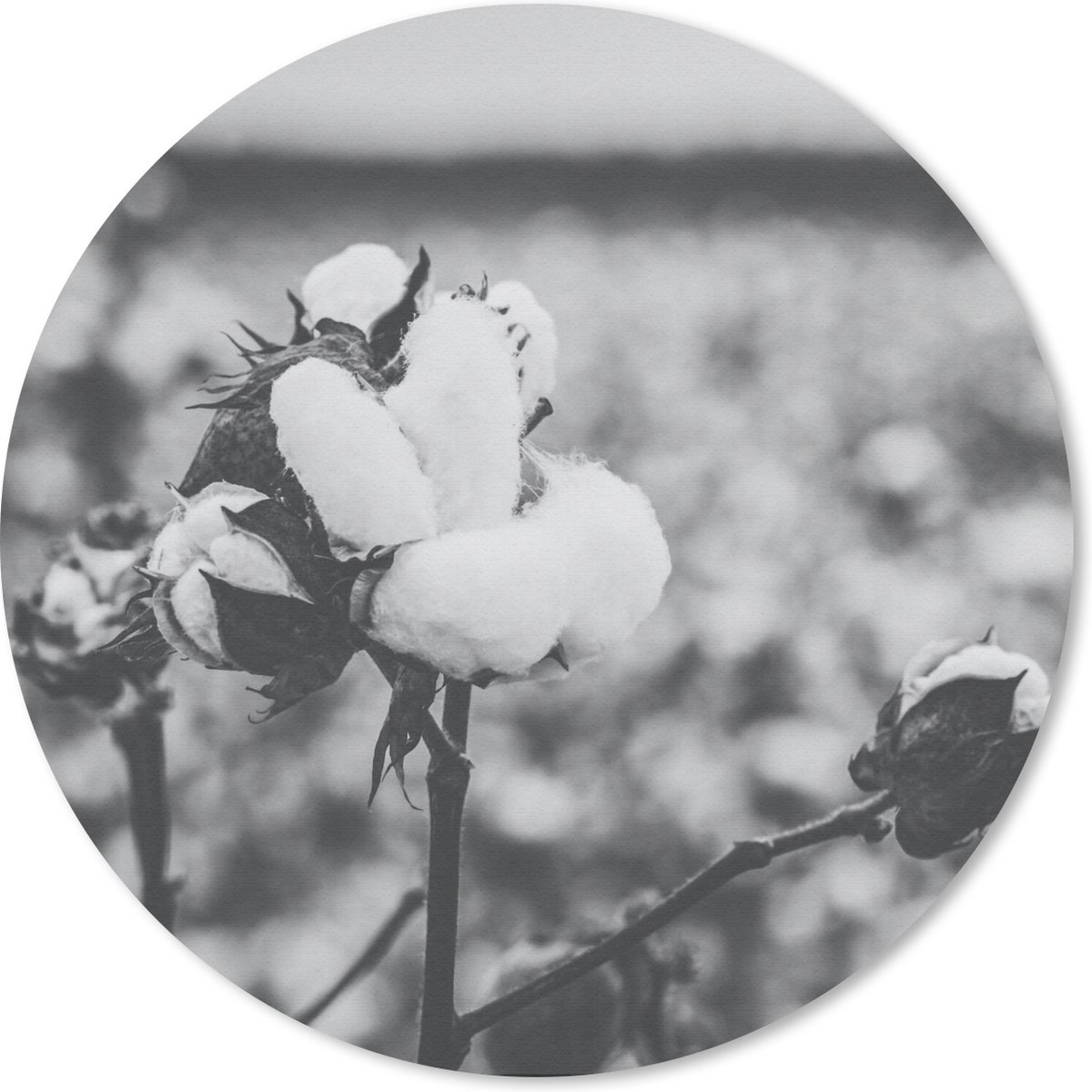 Muismat rond 30x30 cm - Mousepad Katoen - Planten - Zwart - Wit - Ronde muismatten