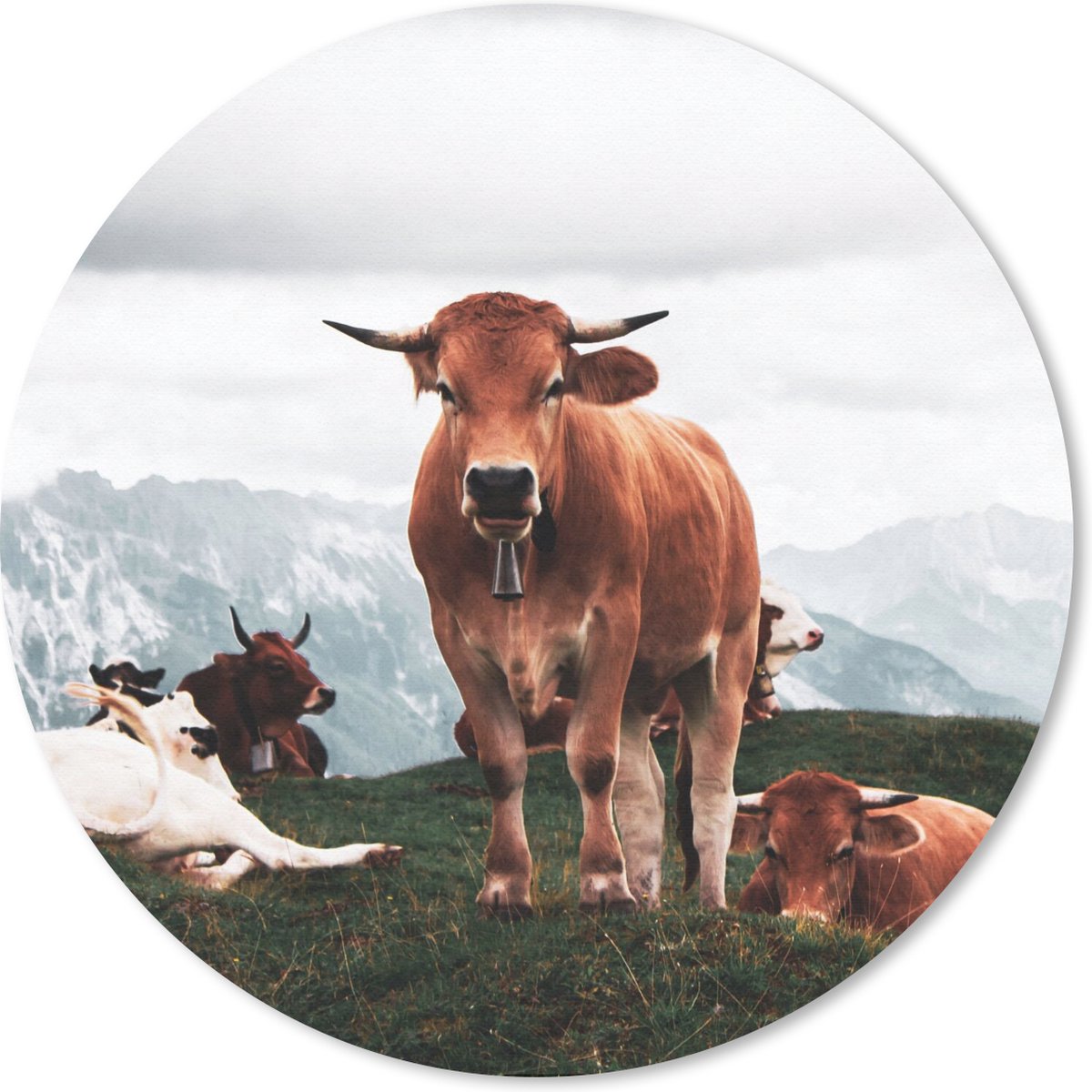 Muismat rond 40x40 cm - Mousepad Dieren - Koe - Berg - Ronde muismatten