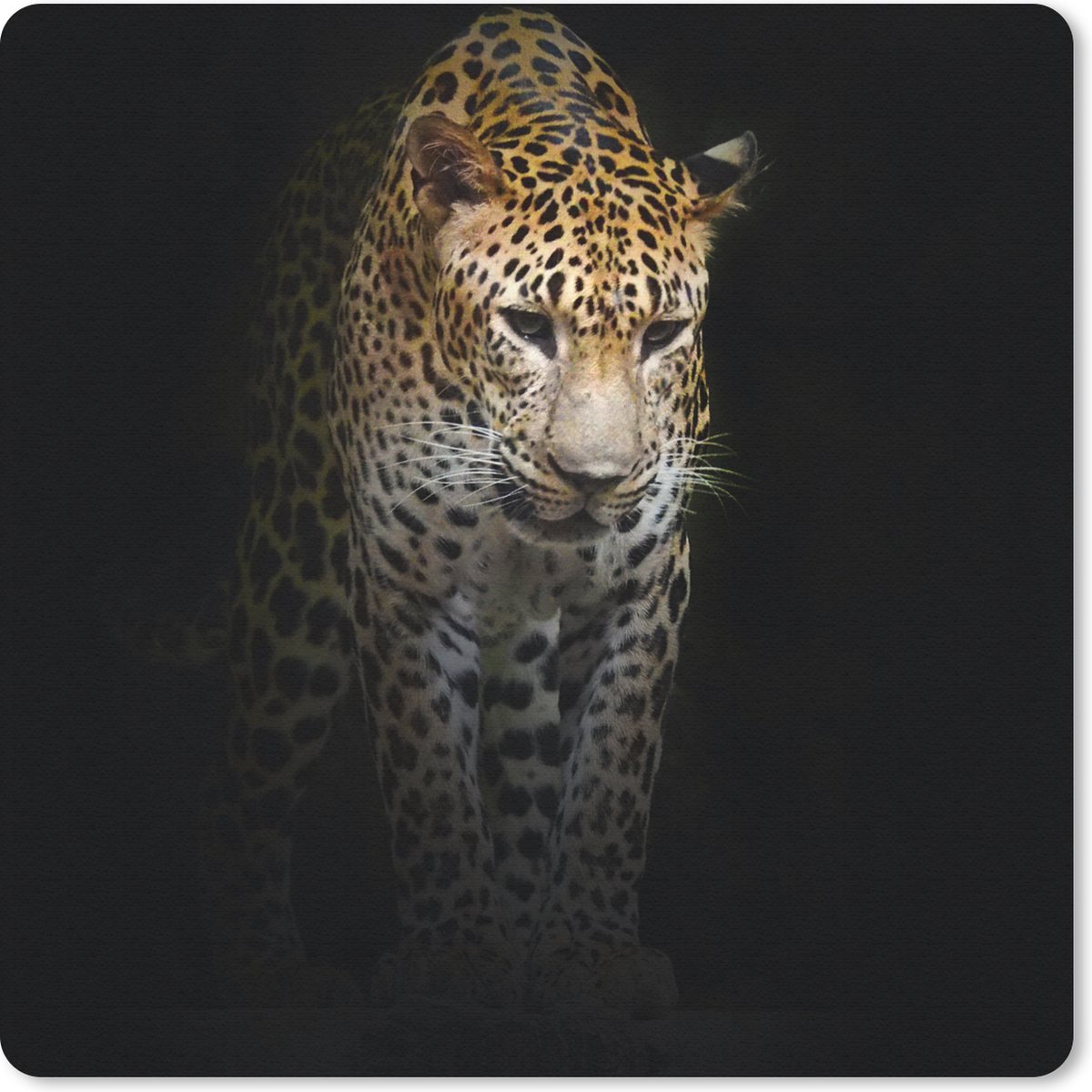 Muismat 30x30 cm - Mousepad Luipaard - Reflectie - Zwart - Muismatten