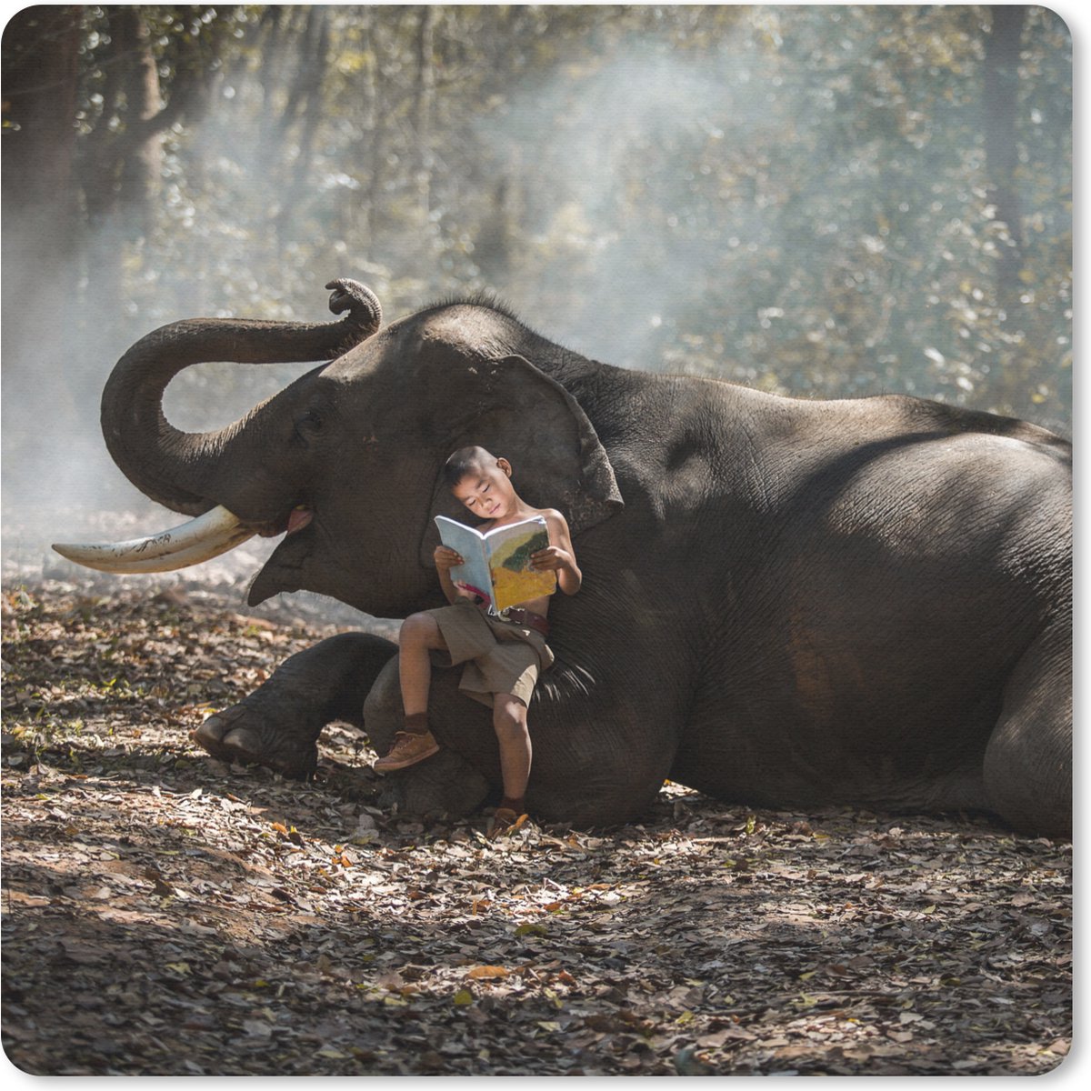Muismat 20x20 cm - Mousepad Olifant - Jongen - Boek - Bos - Dieren - Natuur - Muismatten