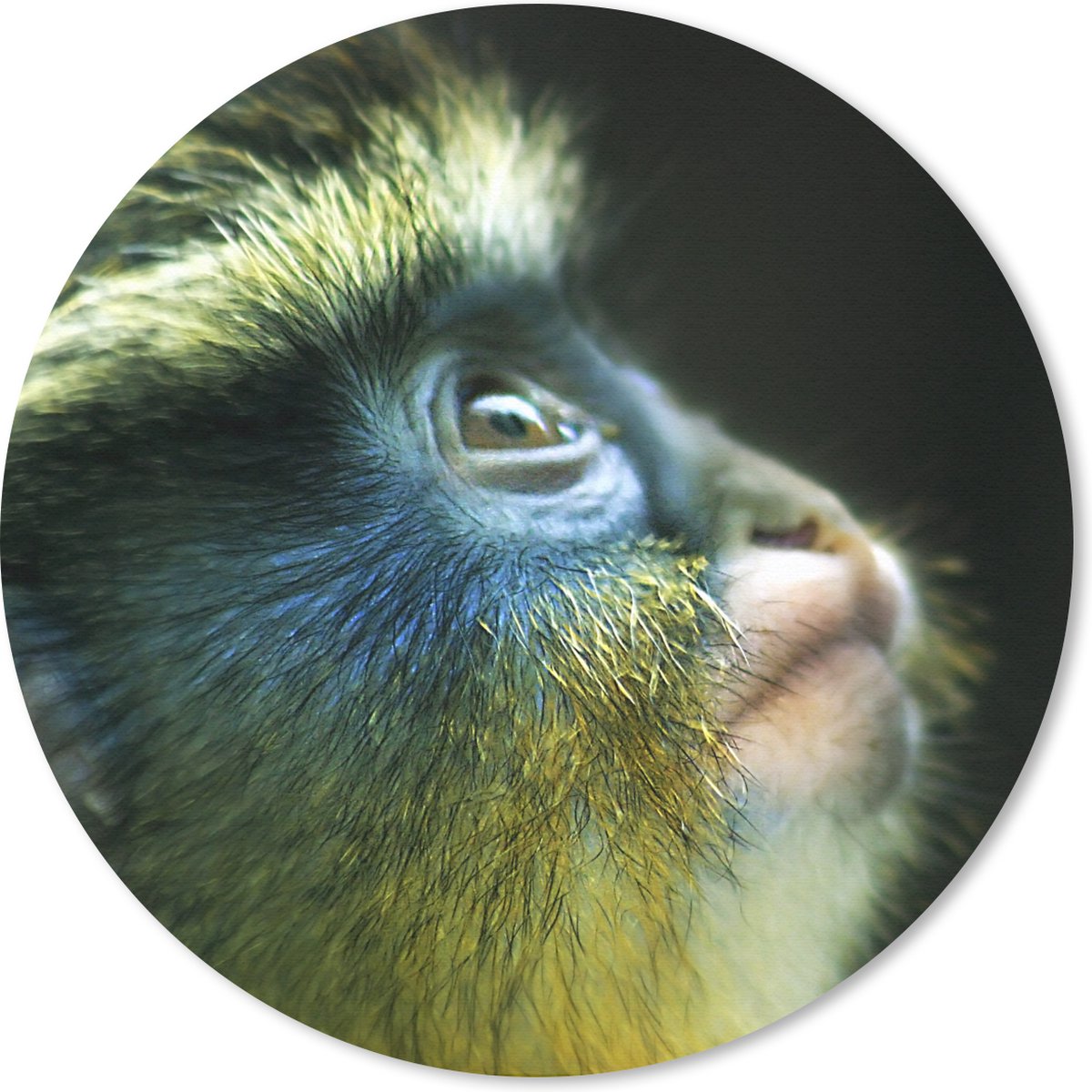 Muismat rond 30x30 cm - Mousepad Aap - Vacht - Zwart - Ronde muismatten